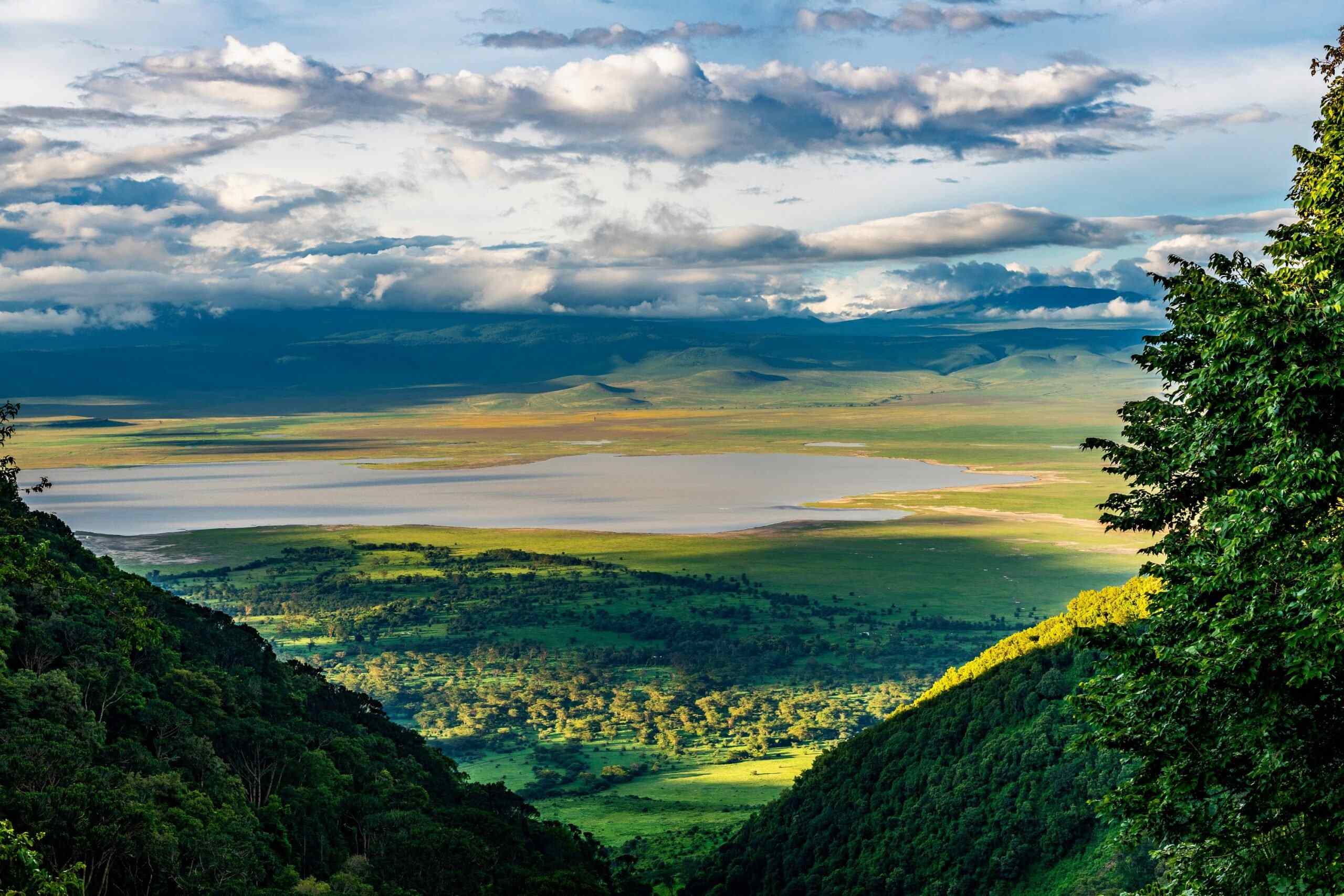 Ngorongoro